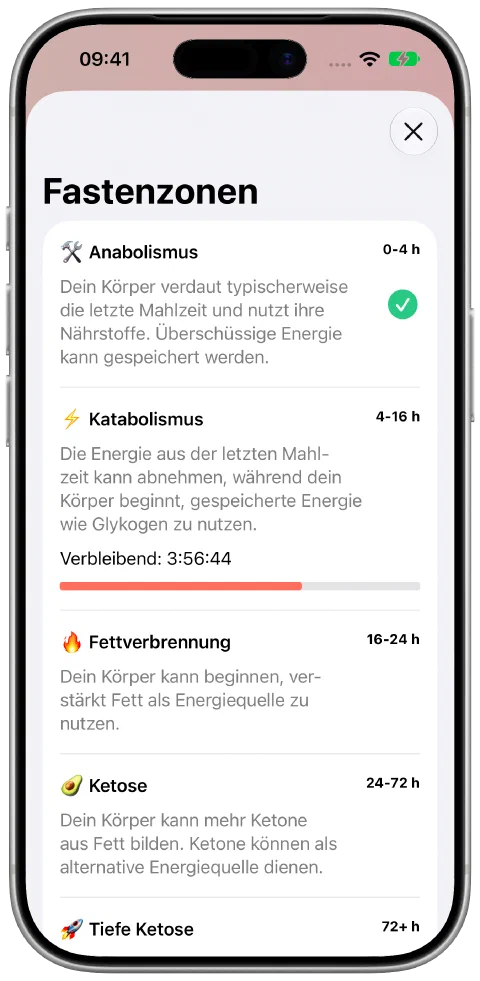 Die Fastenzonen-Ansicht in Fasty mit Erklärungen und dem Fortschritt in der aktuellen Zone.