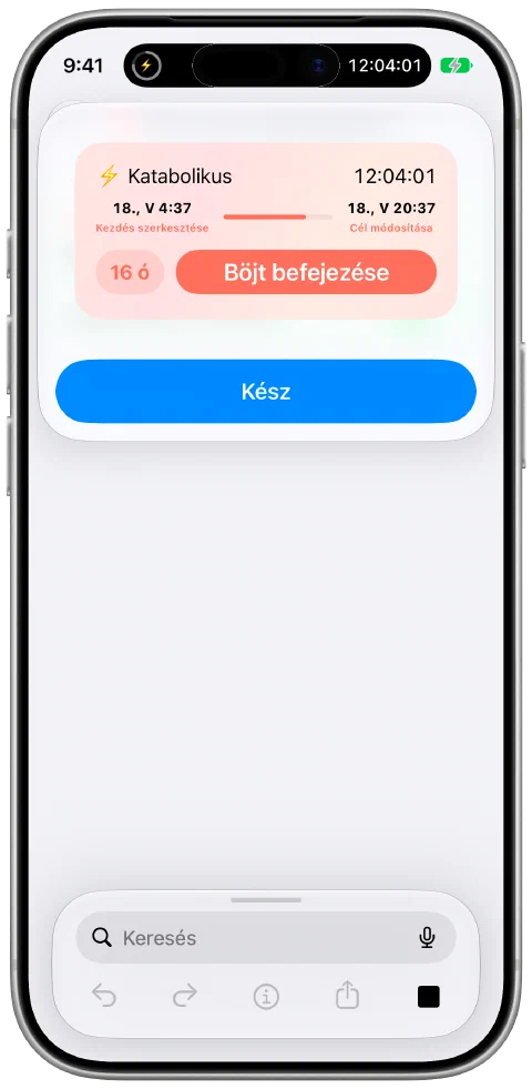 A Fasty valódi eredményrészlete a Parancsok szerkesztője felett, az aktuális böjt haladásával és vezérlőivel.