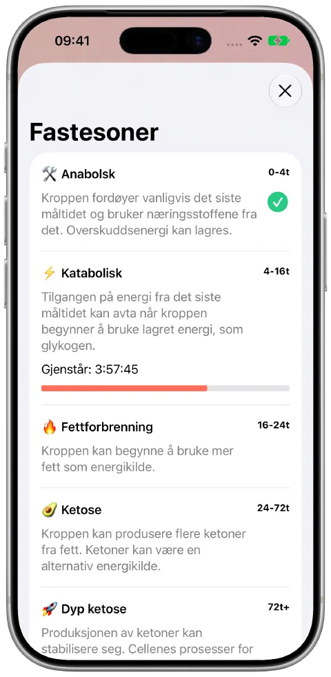 Fastesoner-visningen i Fasty med forklaringer og fremdrift i den nåværende sonen.