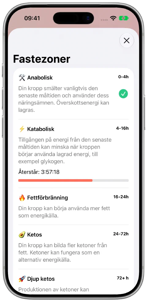 Vyn Fastezoner i Fasty med förklaringar och förlopp i den aktuella zonen.