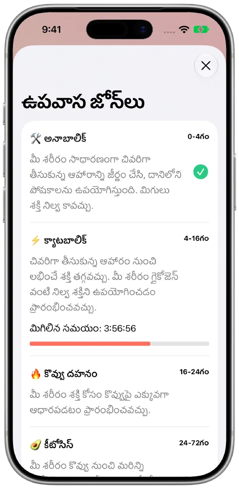 వివరణలు, ప్రస్తుత జోన్ పురోగతితో Fasty ఉపవాస జోన్ల తెర.
