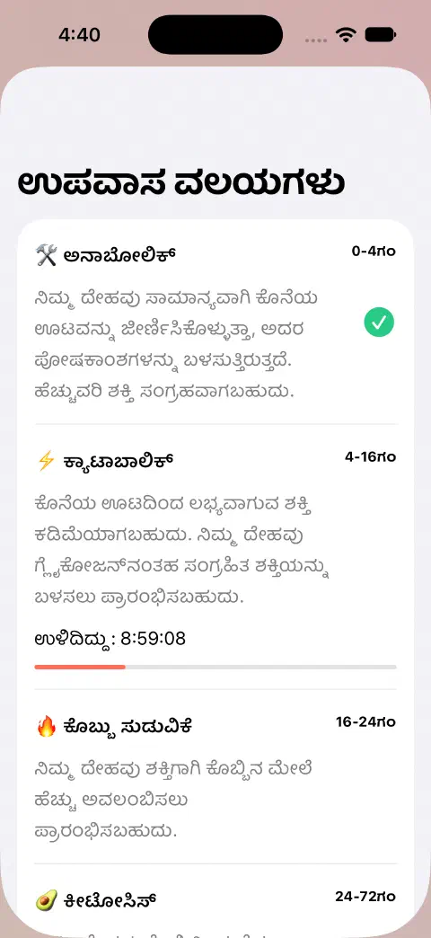 ಉಪವಾಸ ವಲಯಗಳ ಶೀಟ್‌ನಲ್ಲಿ ವಲಯದ ಹೆಸರುಗಳು, ಅಂದಾಜು ಸಮಯದ ವ್ಯಾಪ್ತಿಗಳು, ವಿವರಣೆಗಳು ಮತ್ತು ಪ್ರಸ್ತುತ ವಲಯದ ಬಾಕಿ ಸಮಯದ ಪ್ರಗತಿಯ ಬಾರ್.