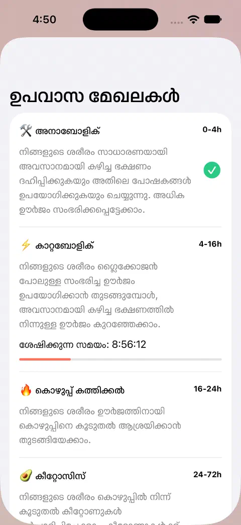 ഉപവാസ മേഖലാ ഷീറ്റിൽ പേരുകൾ, ഏകദേശ സമയ പരിധികൾ, വിശദീകരണങ്ങൾ, നിലവിലെ മേഖലയുടെ ശേഷിക്കുന്ന സമയ പുരോഗതി ബാർ.