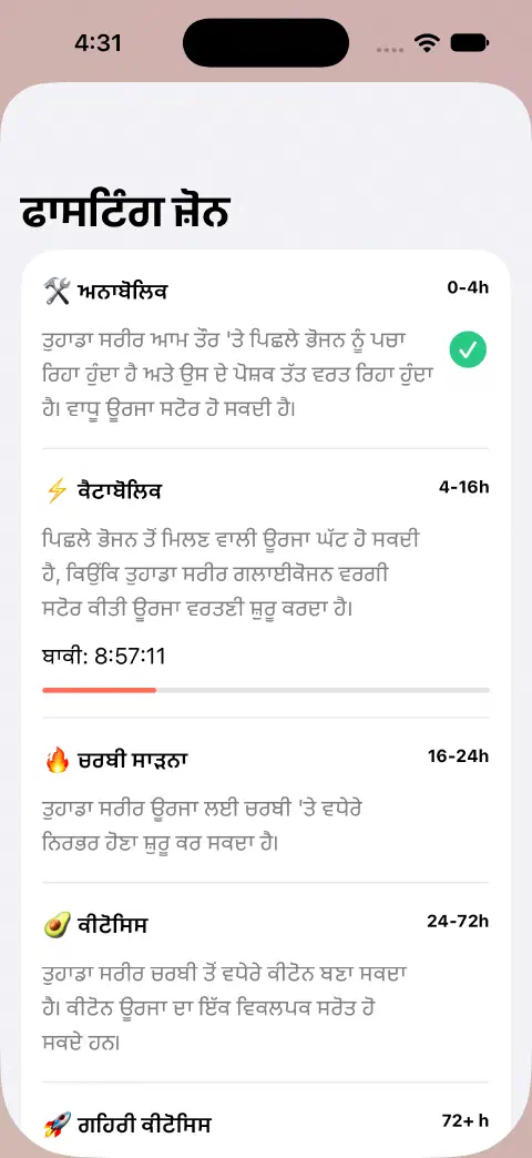 ਫਾਸਟਿੰਗ ਜ਼ੋਨ ਸ਼ੀਟ ਵਿੱਚ ਜ਼ੋਨਾਂ ਦੇ ਨਾਮ, ਅਨੁਮਾਨਿਤ ਸਮਾਂ-ਰੇਂਜ, ਵਿਆਖਿਆਵਾਂ ਅਤੇ ਮੌਜੂਦਾ ਜ਼ੋਨ ਦੇ ਬਾਕੀ ਸਮੇਂ ਦੀ ਪ੍ਰਗਤੀ ਬਾਰ।