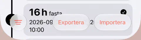 Nedre verktygsfältet i fastehistoriken med Filter-knappen med tre linjer till vänster och Exportera och Importera till höger.