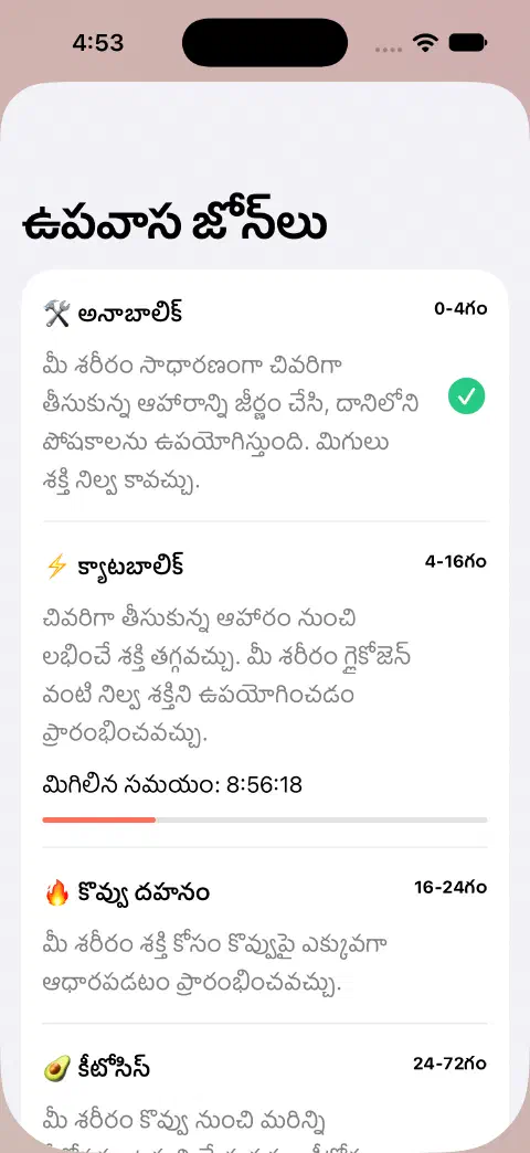 ఉపవాస జోన్‌లు షీట్‌లో జోన్ పేర్లు, అంచనా సమయ పరిధులు, వివరణలు, ప్రస్తుత జోన్ మిగిలిన సమయ పురోగతి పట్టీ.