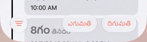 ఉపవాస చరిత్ర దిగువ టూల్‌బార్‌లో ఎడమవైపు మూడు గీతల ఫిల్టర్ బటన్, కుడివైపు ఎగుమతి, దిగుమతి.