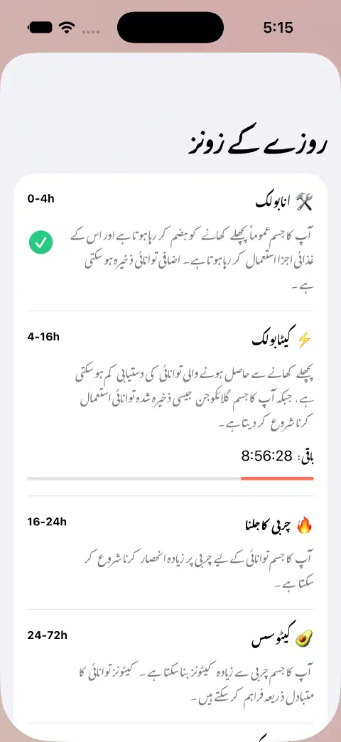 روزے کے زون کی شیٹ میں نام، وقت کی اندازاً حدیں، وضاحتیں اور موجودہ زون میں باقی وقت کی پیش رفت کی بار ہے۔